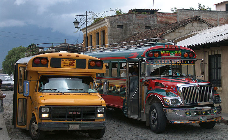 Mini & Maxi Bus