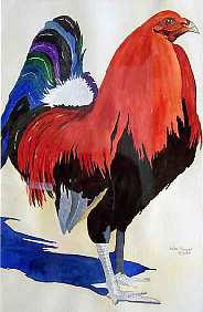HelenCooper-rooster * Size: lttl